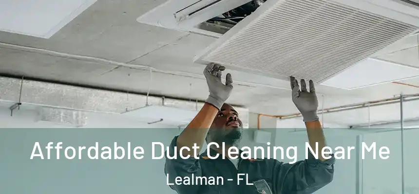 Affordable Duct Cleaning Near Me Lealman - FL