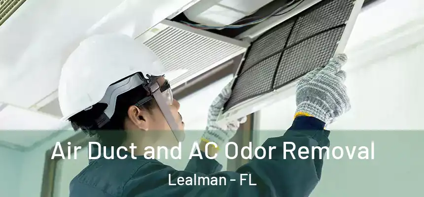 Air Duct and AC Odor Removal Lealman - FL