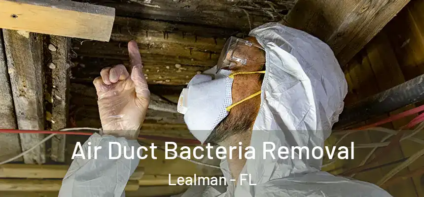 Air Duct Bacteria Removal Lealman - FL