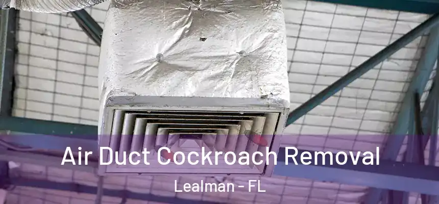  Air Duct Cockroach Removal Lealman - FL