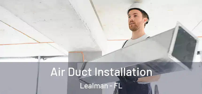 Air Duct Installation Lealman - FL
