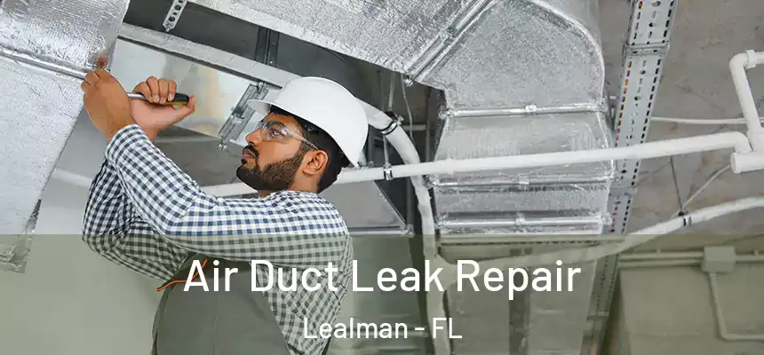 Air Duct Leak Repair Lealman - FL