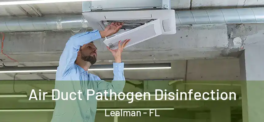  Air Duct Pathogen Disinfection Lealman - FL