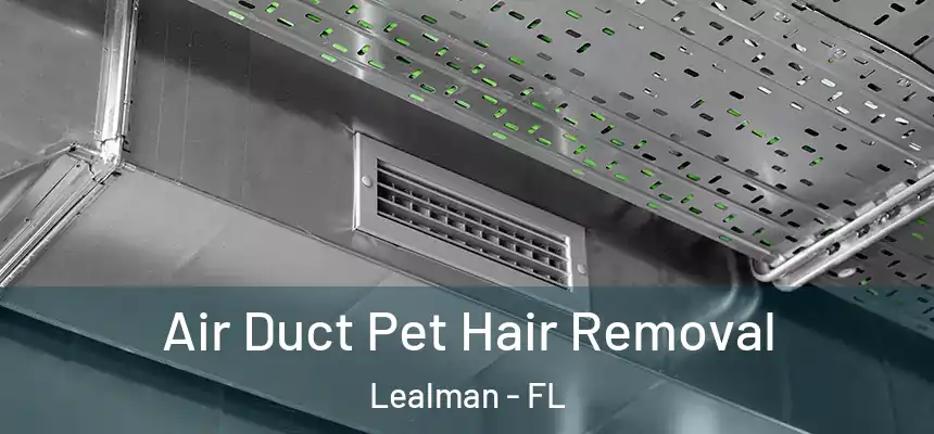 Air Duct Pet Hair Removal Lealman - FL