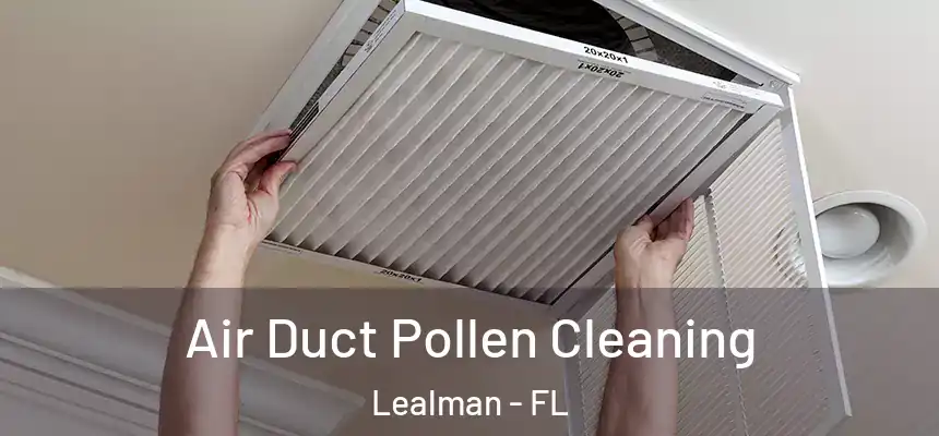 Air Duct Pollen Cleaning Lealman - FL