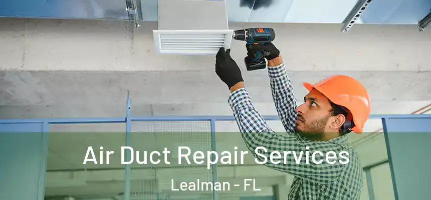 Air Duct Repair Services Lealman - FL