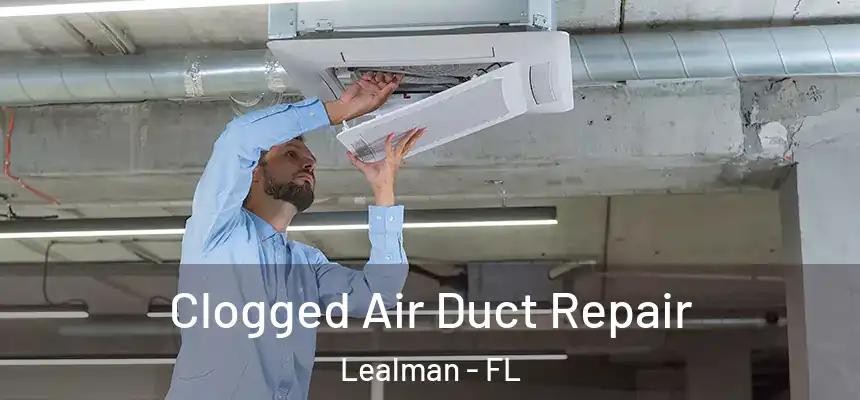 Clogged Air Duct Repair Lealman - FL
