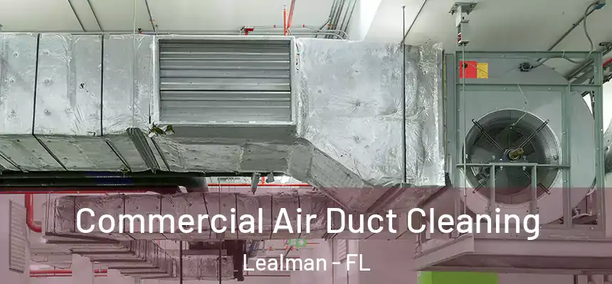 Commercial Air Duct Cleaning Lealman - FL