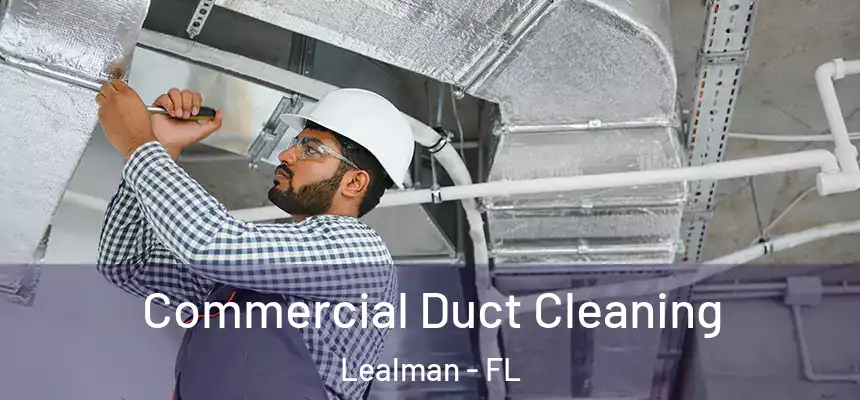 Commercial Duct Cleaning Lealman - FL