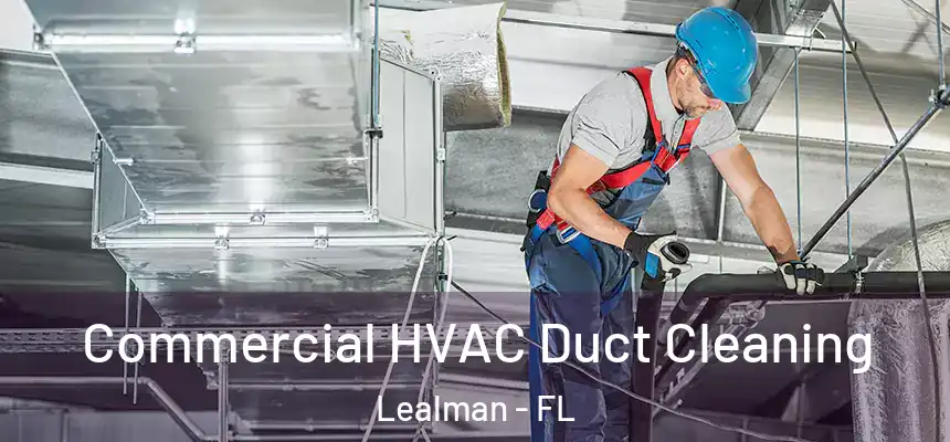 Commercial HVAC Duct Cleaning Lealman - FL