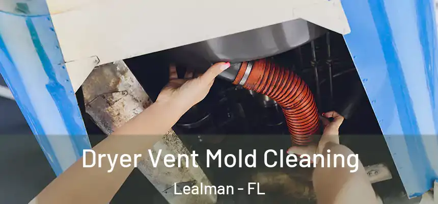  Dryer Vent Mold Cleaning Lealman - FL