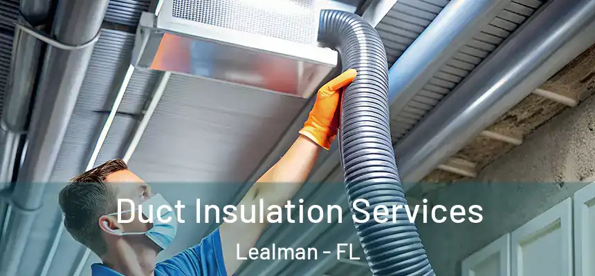 Duct Insulation Services Lealman - FL