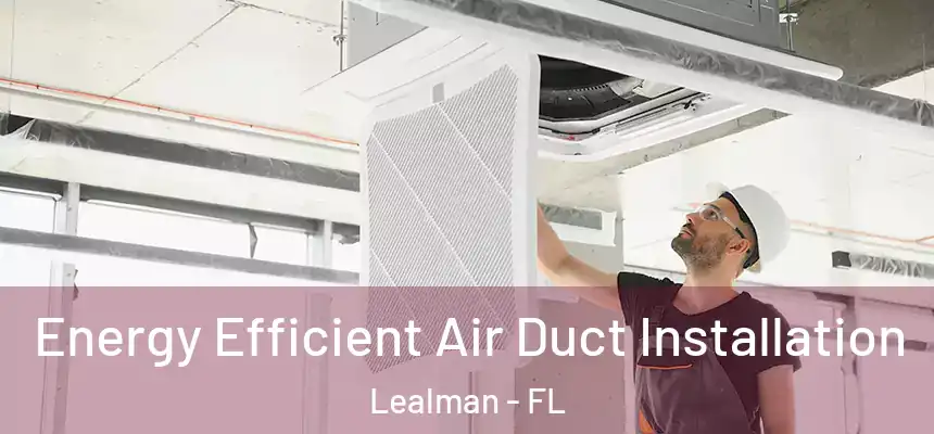 Energy Efficient Air Duct Installation Lealman - FL