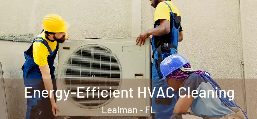 Energy-Efficient HVAC Cleaning Lealman - FL