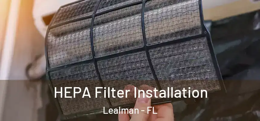 HEPA Filter Installation Lealman - FL