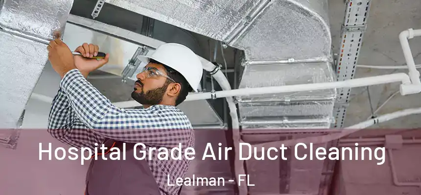 Hospital Grade Air Duct Cleaning Lealman - FL