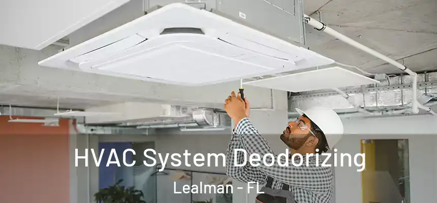 HVAC System Deodorizing Lealman - FL