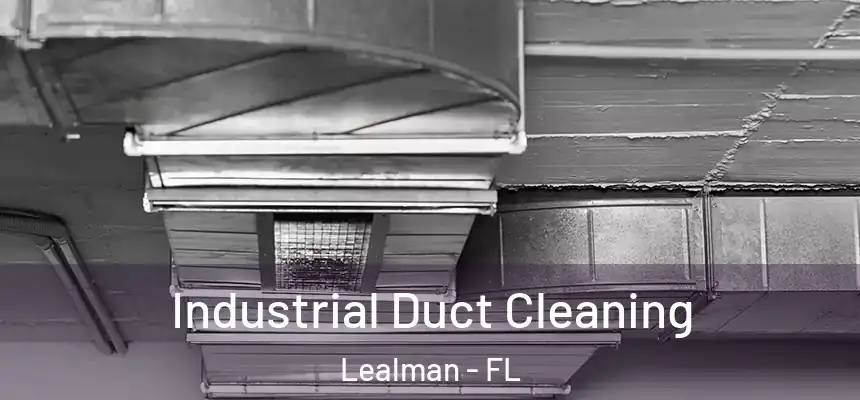 Industrial Duct Cleaning Lealman - FL