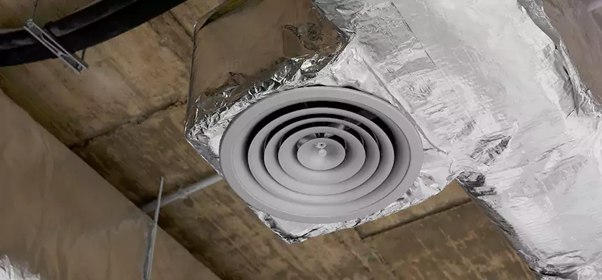 Our Excess Lint Removal from Dryer Ducts Services in Lealman, FL