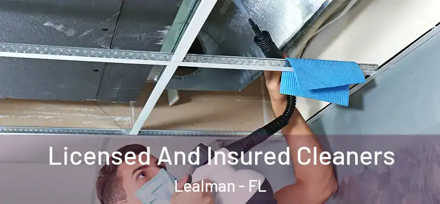 Licensed And Insured Cleaners Lealman - FL