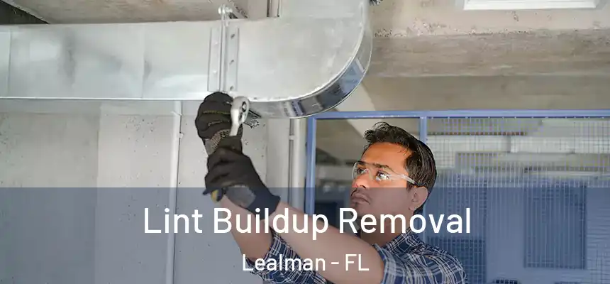 Lint Buildup Removal Lealman - FL