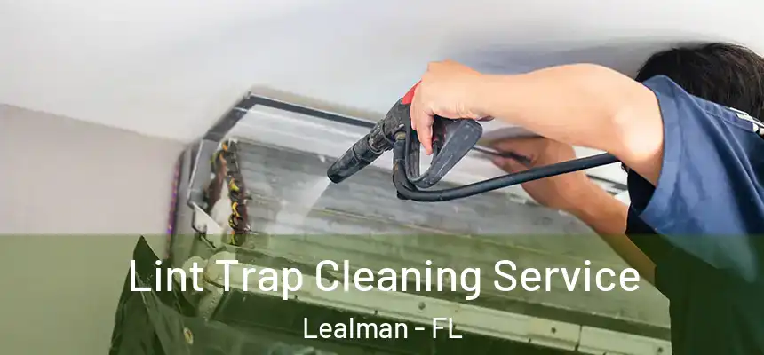 Lint Trap Cleaning Service Lealman - FL