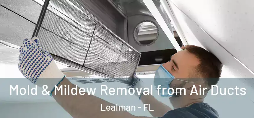 Mold & Mildew Removal from Air Ducts Lealman - FL
