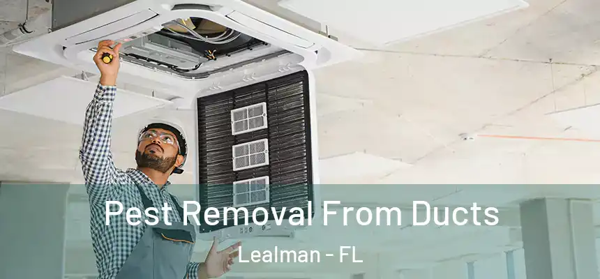 Pest Removal From Ducts Lealman - FL
