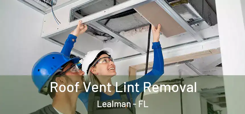 Roof Vent Lint Removal Lealman - FL
