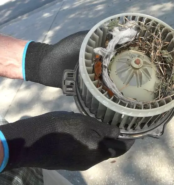 About Air Duct Mice Removal in Lealman, FL