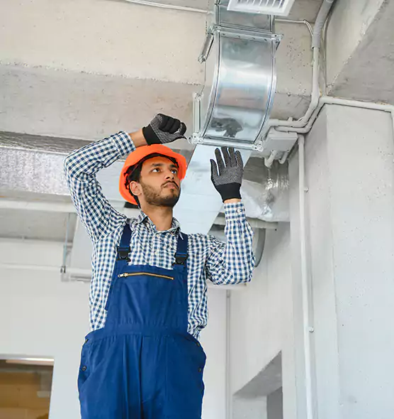 Affordable Lint Buildup Removal in Lealman, FL
