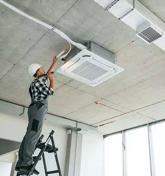 Advanced Pest Removal From Ducts in Lealman, FL