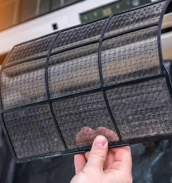 About Pet Dander Duct Cleaning in Lealman, FL