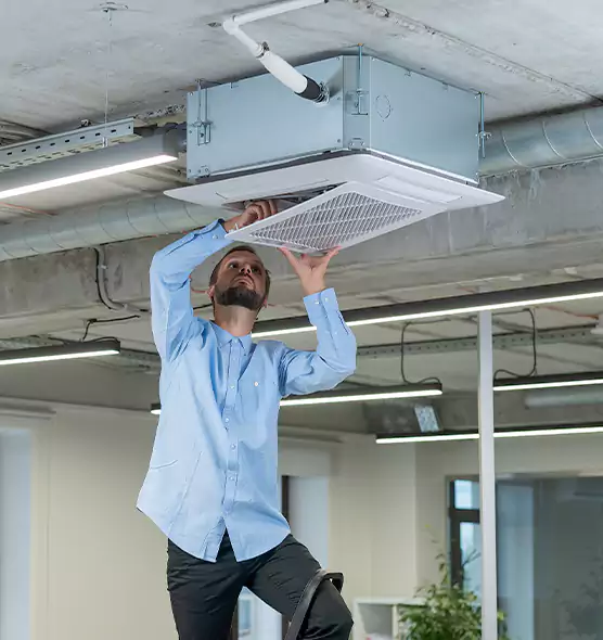 Advanced Rodent Droppings In Vents in Lealman, FL
