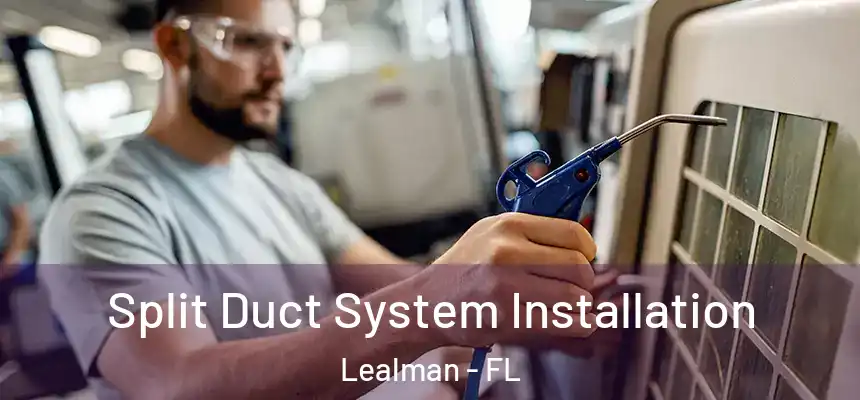 Split Duct System Installation Lealman - FL