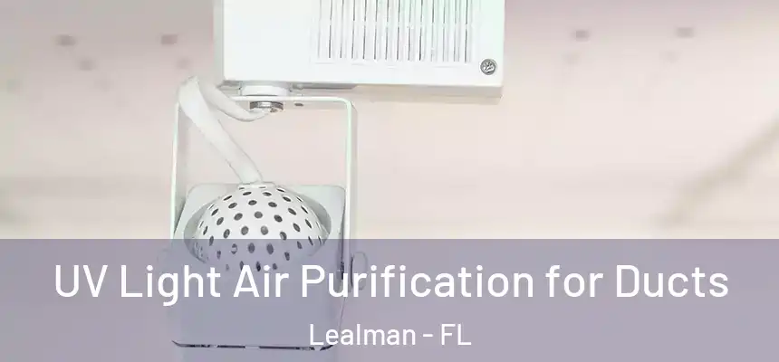  UV Light Air Purification for Ducts Lealman - FL