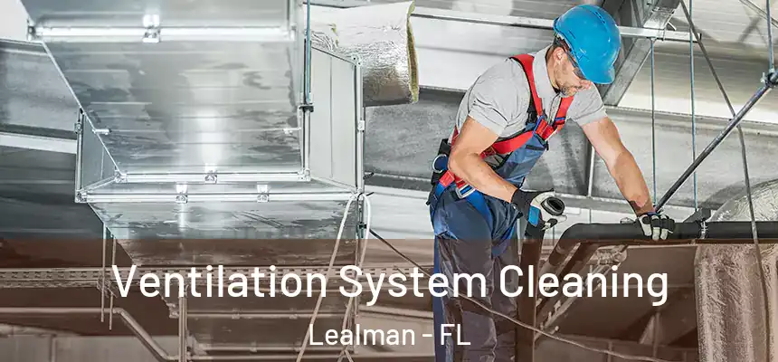  Ventilation System Cleaning Lealman - FL